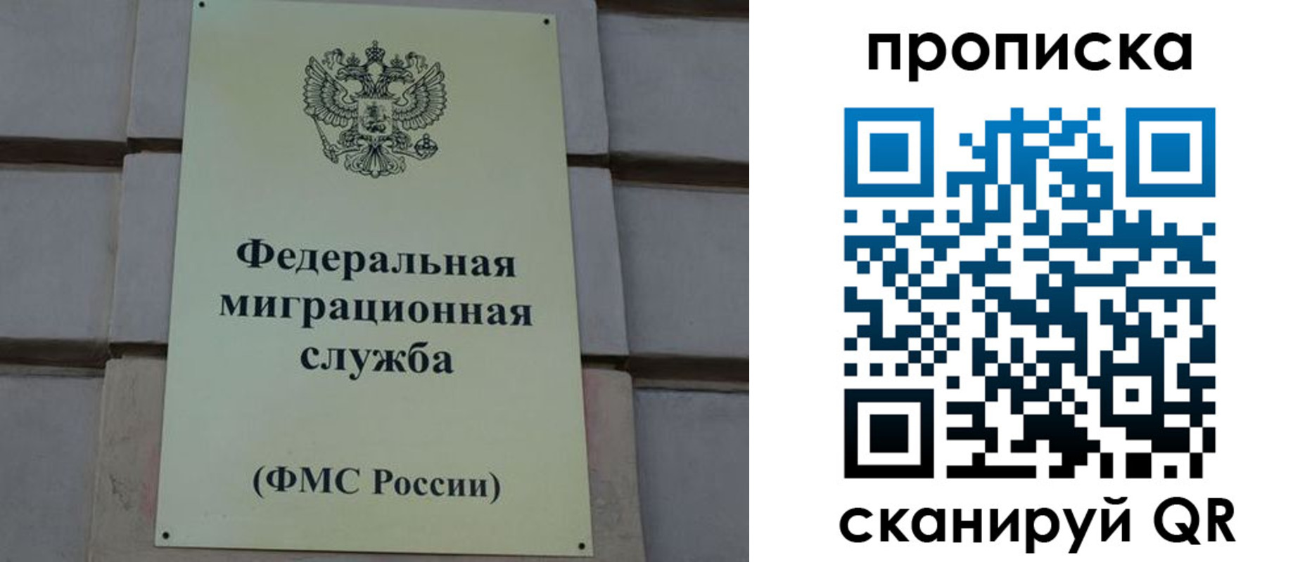 прописка поиск в Сафоново
